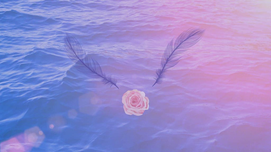 Wallpaper: Sea, rose and feathers in blue-pink color.